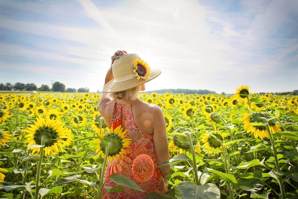 Curso Mindfulness - La alegría del despertar