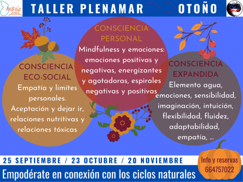 taller estacional otoño