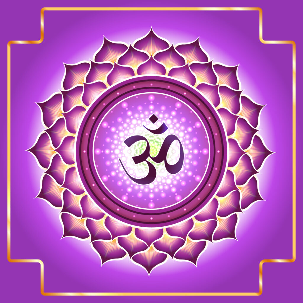 Séptimo Chakra: Sahasrara