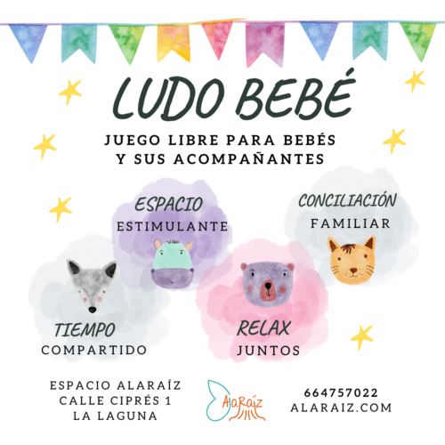 Ludo Bebé Alaraíz