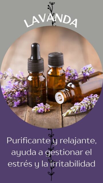 aceite esencial de lavanda