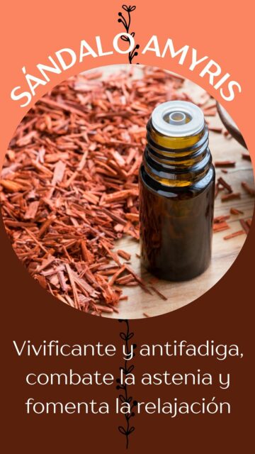 aceite esencial sándalo amyris