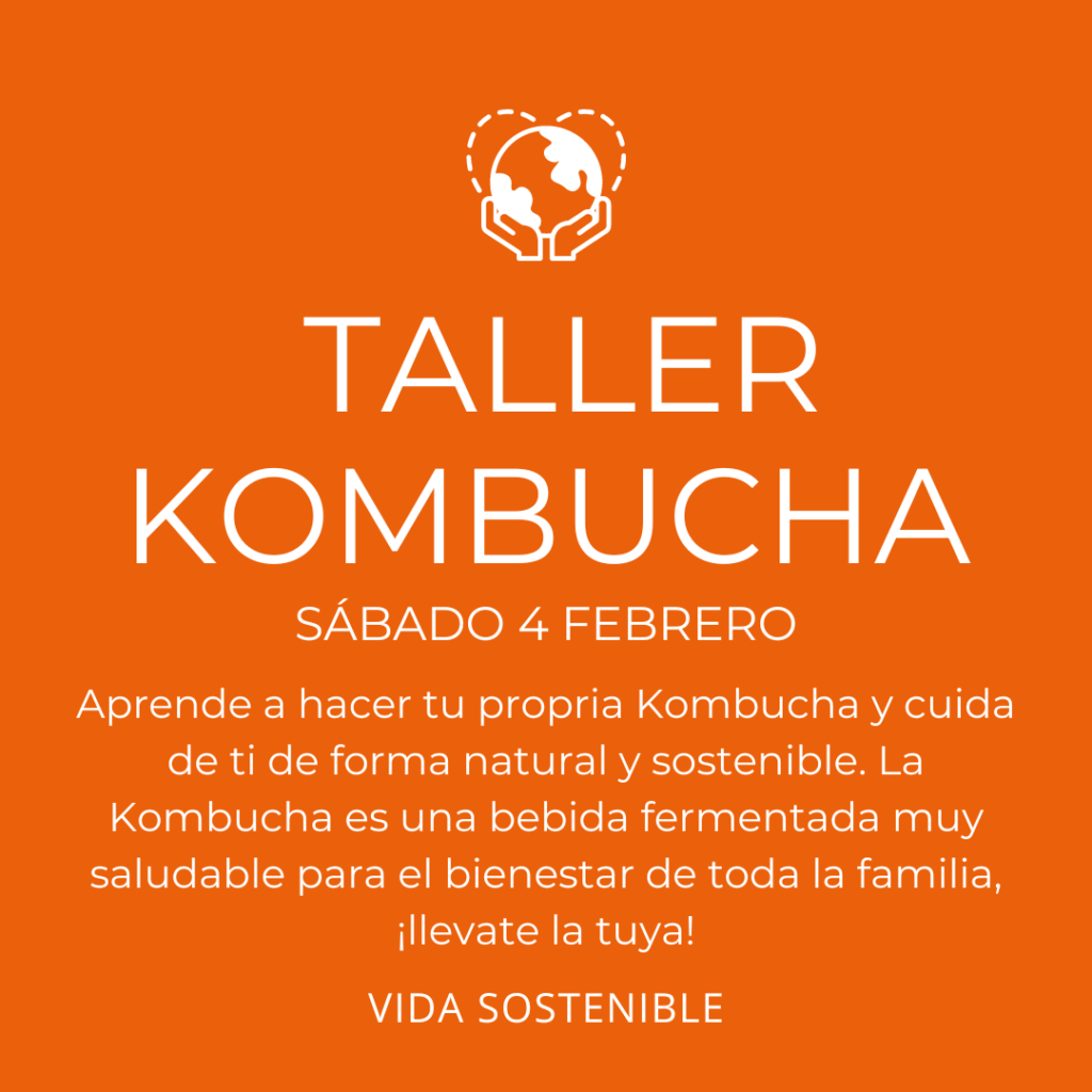 TALLER KOMBUCHA | Vida Sostenible